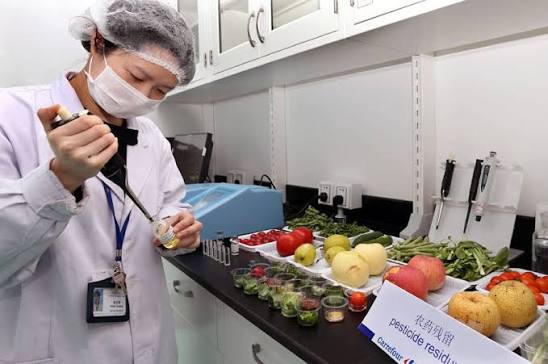 锦江区食品检测报告提速，第三方机构筛选与送检要点解析